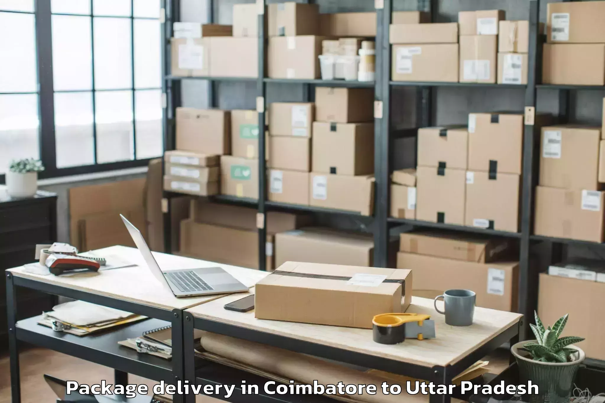 Reliable Coimbatore to Auraiya Package Delivery